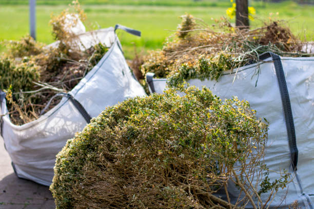 Best Yard Cleanup Services  in South Uniontown, PA